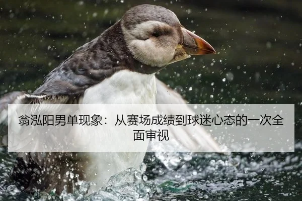 翁泓阳男单现象：从赛场成绩到球迷心态的一次全面审视